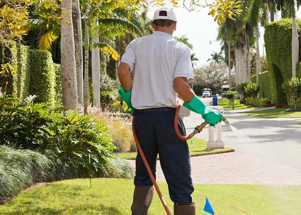 About Southmayd TX Pest Control